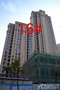 正东中央公馆新闻爆料视频 第3张 正东中央公馆新闻爆料视频 第3张